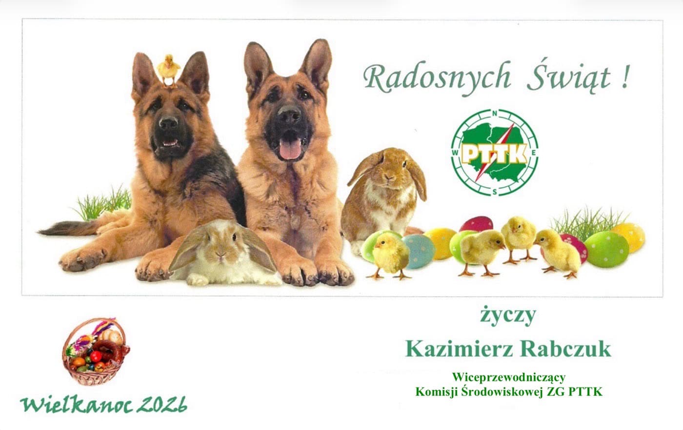 Szeroki ujęcie psów i kurczaków z wielkanocnymi jajkami, symbolizujące radosne święta Wielkanocne.